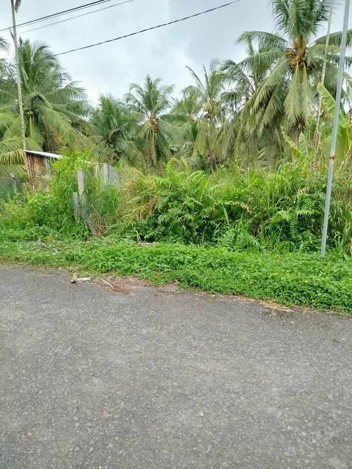 Đất nền mặt tiền đường lộ Sóc Thác, Trà Vinh 150m² giá 500 triệu - Cơ hội đầu tư hấp dẫn!