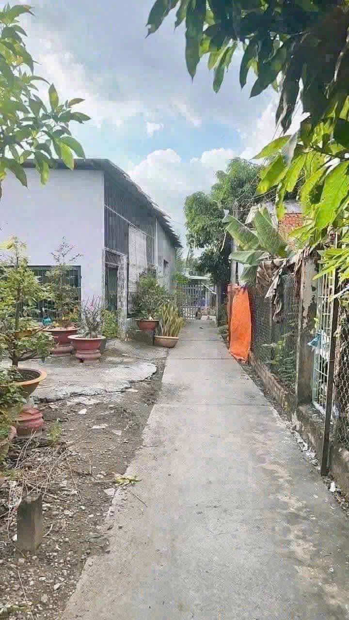 Đất thổ cư Hướng Thọ Phú 217m² giá 900 triệu - Chính chủ bán gấp!