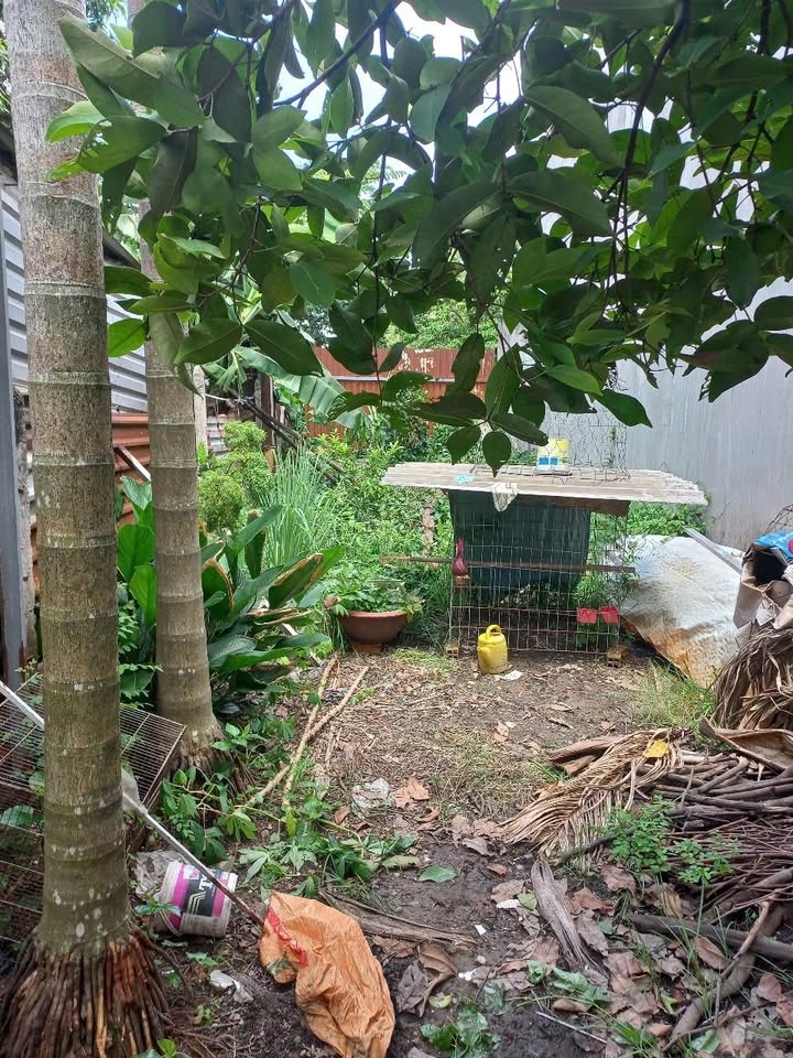 Đất nền Vĩnh Lộc, Bình Chánh 68m² giá 750 triệu - Cơ hội đầu tư hấp dẫn!