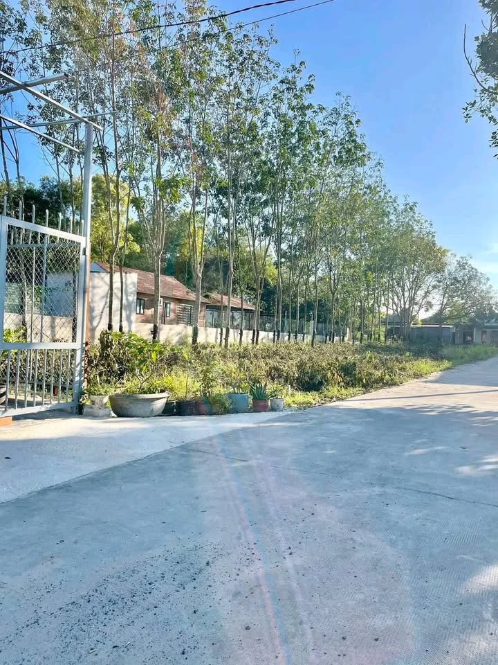 Đất nền Chơn Thành, Bình Phước 155m² giá 600 triệu - Khu dân cư đông đúc, sát đường lớn!