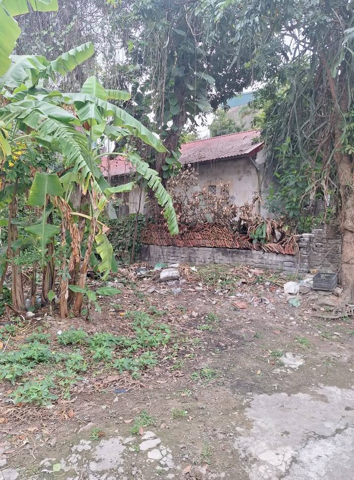 Đất chính chủ Nam Bình, Ninh Bình 135m² giá 2 tỷ - Đường ô tô vào tận nơi!