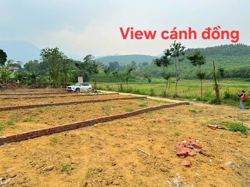 Đất nền Vĩnh Phúc 102m² giá chỉ 300 triệu - Cơ hội đầu tư tuyệt vời!