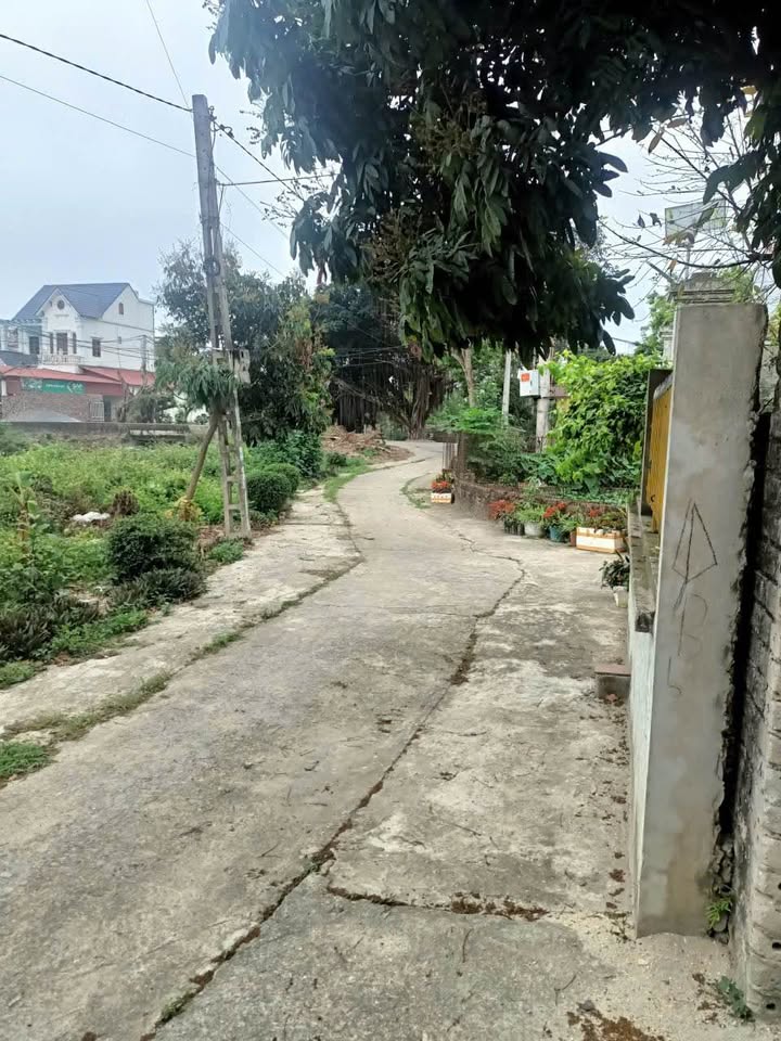 Đất nền 400m² xã Bình Xuyên, giá chỉ 2 tỷ - Cơ hội đầu tư hấp dẫn!