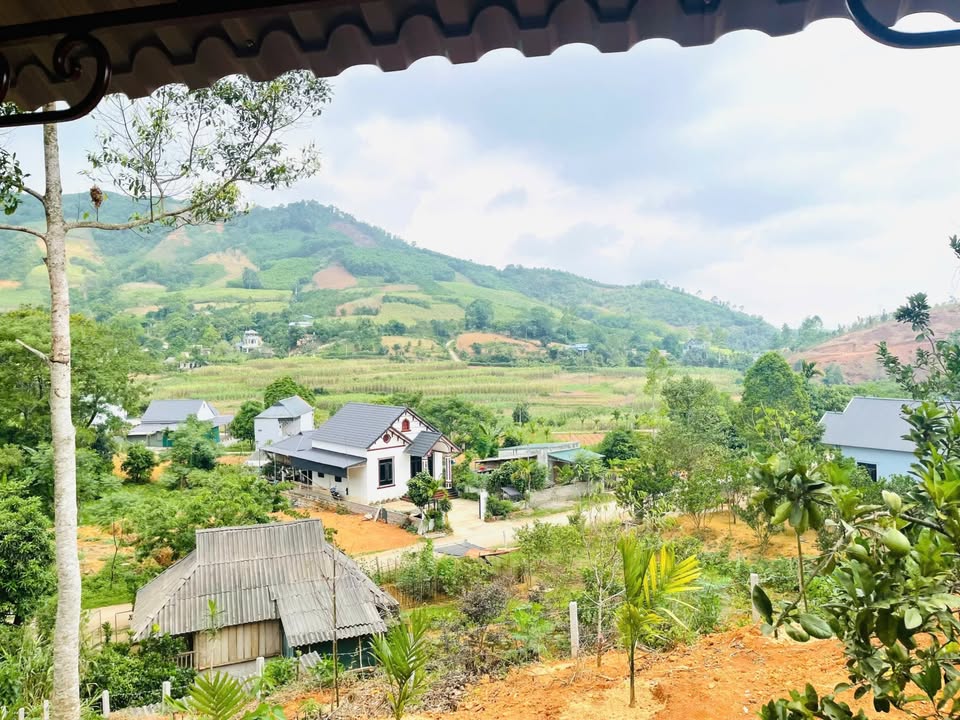 Mảnh đất Farm 3000m² tại Nam Phong, Cao Phong - Thế đất cao ráo, view đẹp mê ly!
