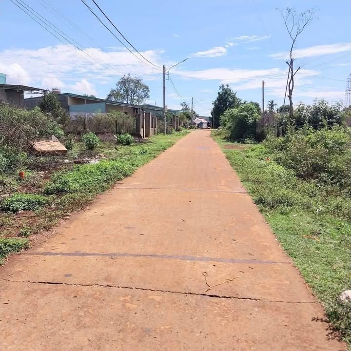 Đất mặt tiền Trương Vĩnh Ký, Biển Hồ 175m² giá 500 triệu - Sổ đỏ chính chủ công chứng ngay!