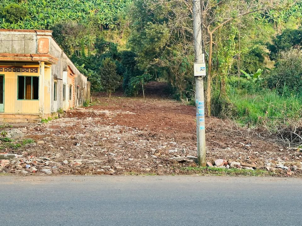 Đất mặt tiền Hương Lộ 2, Bà Rịa 730m² giá 3.5 tỷ - Vị trí đắc địa, tiềm năng sinh lời!