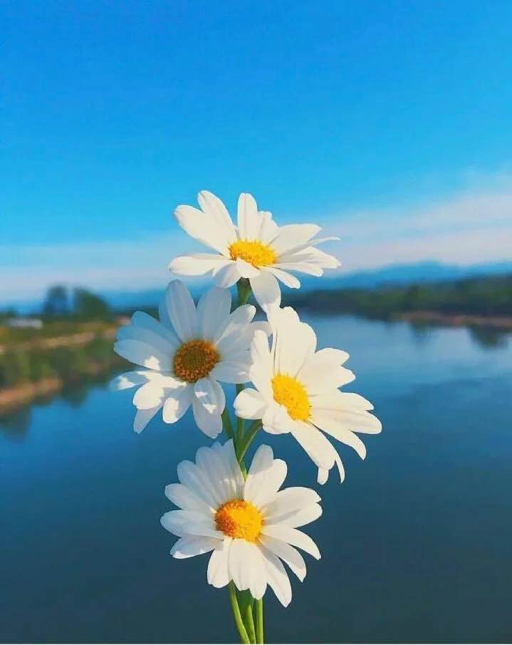 Đất nền đẹp tại khu trung tâm Việt Kiều, Mỹ Xuân, Phú Mỹ 115m² giá chỉ 1.6 tỷ - Cơ hội đầu tư hiếm có!