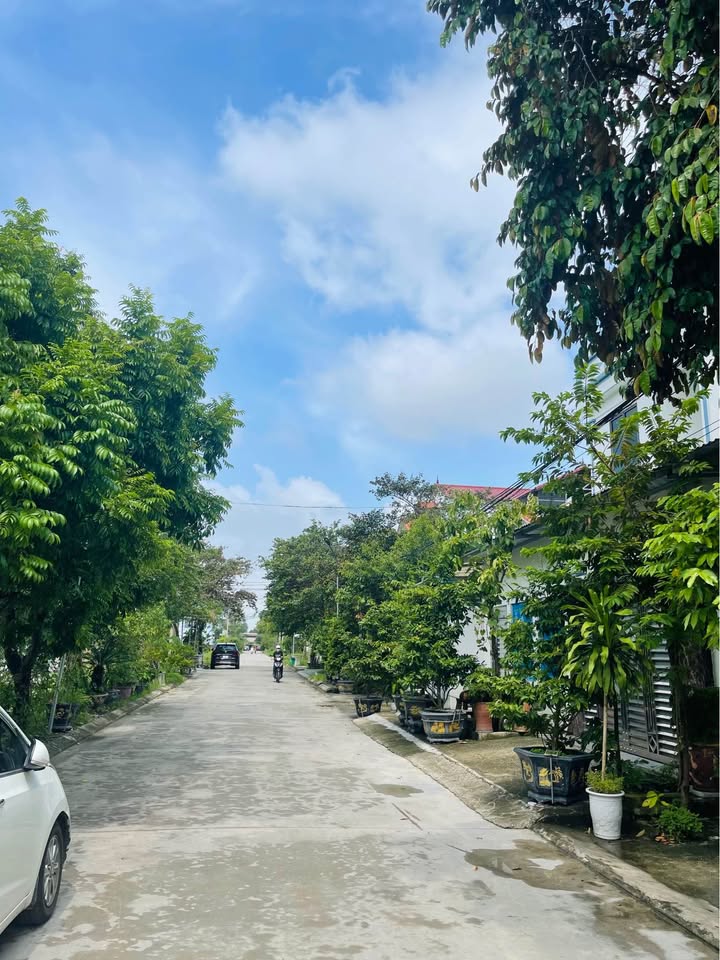 Lô đất Tân Phong 100m² giá 1 tỷ - Đầu tư sinh lời ngay!