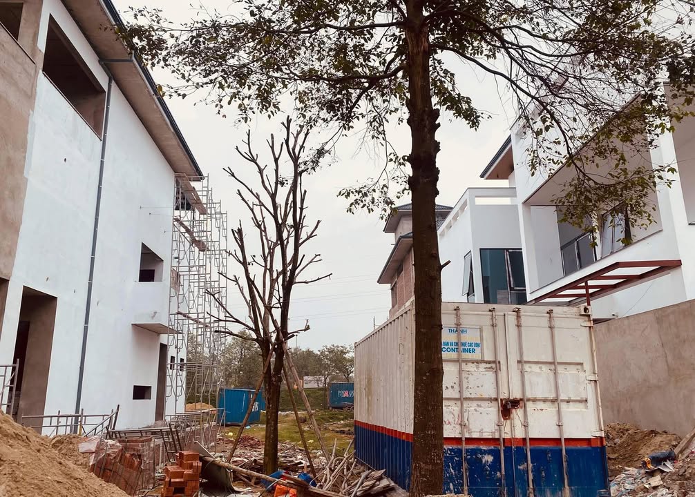 Đất nền dự án Thành Thái Thịnh, Bến Thủy, 257m² - Giá chỉ 5.147 tỷ, đầu tư sinh lời!