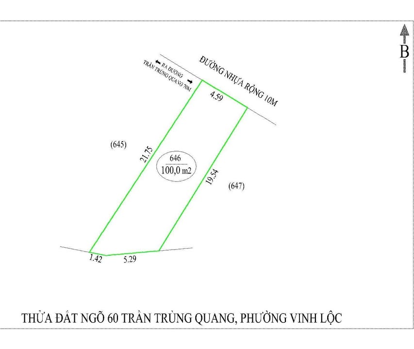 Đất nền chính chủ Lối 2 đường Trần Trùng Quang 100m² giá 3 tỷ - Tiềm năng phát triển cao!