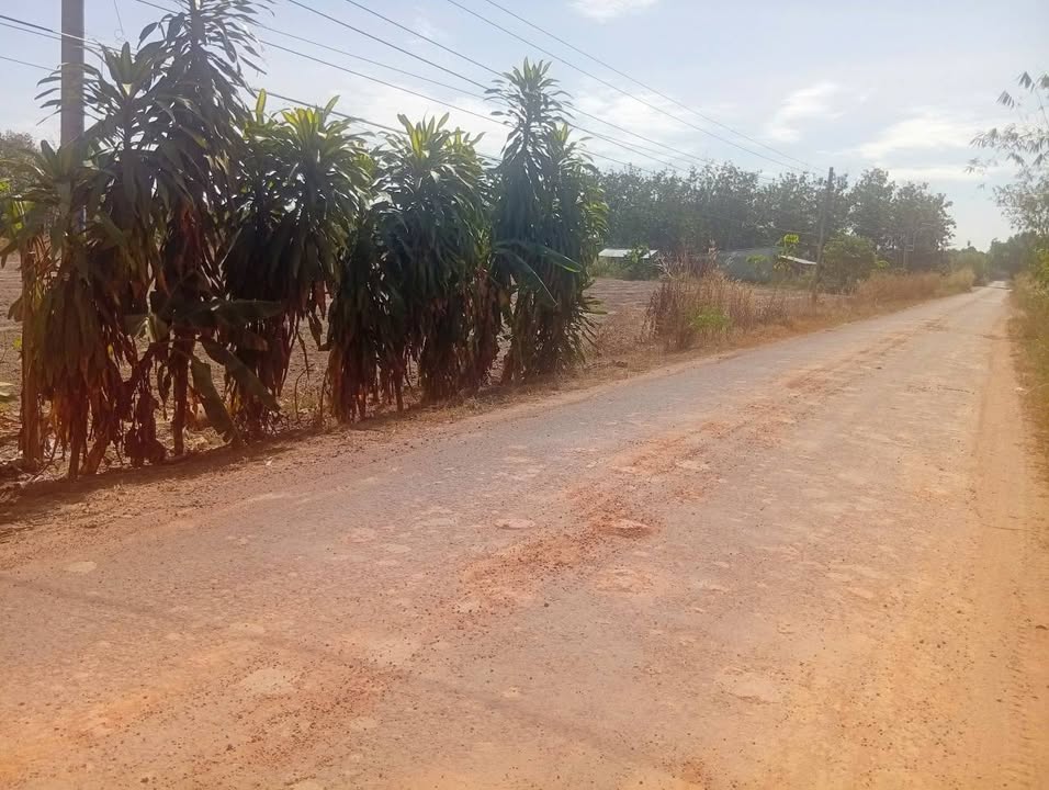 Đất nền Thạnh Bắc Tân Biên 600m² giá 600 triệu - Cơ hội đầu tư tuyệt vời!