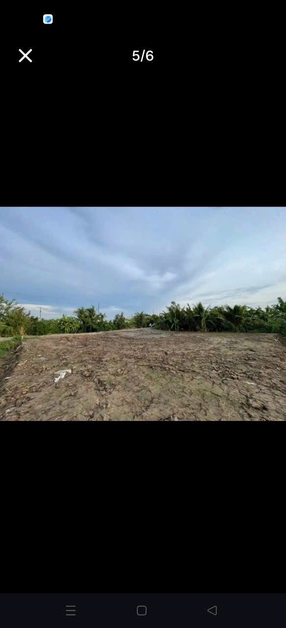 Đất vườn Mỹ Thới 20.000m² giá 1.6 tỷ - Mặt tiền ven sông mát mẻ!