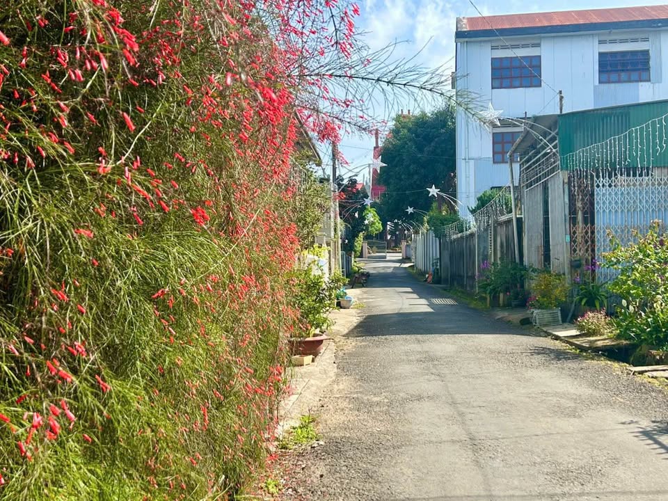 Nhà hẻm ô tô Quốc Lộ 20, Bảo Lộc 165m² giá 1.85 tỷ - Sổ đỏ chính chủ!