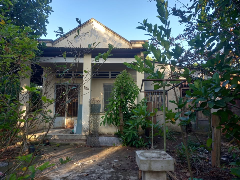 Farm cho thuê tại Bình Lộc, Long Khánh 10.000m² - Giá chỉ 3 triệu/tháng!