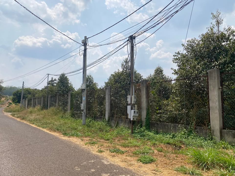 Đất vườn sầu riêng Bàu Sen Long Khánh 500m² giá 1.45 tỷ - Pháp lý đầy đủ!