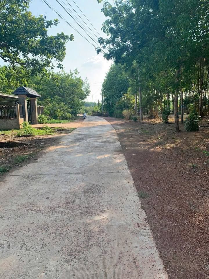 Đất nền Đồng Tâm, Bình Phước 4.700m² giá 1.5 tỷ - Nở hậu, dân cư đông đúc!