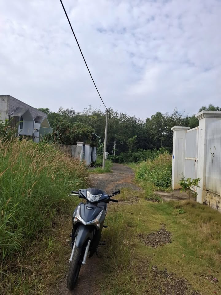 Đất thổ cư 100% Tiến Thành, Đồng Xoài 2500m² giá 944 triệu - Cơ hội đầu tư tuyệt vời!