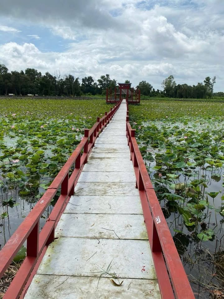 Đất vườn Phú Hòa Đông, Củ Chi 7300m² giá 7 tỷ - Đường xe hơi tới tận nơi!