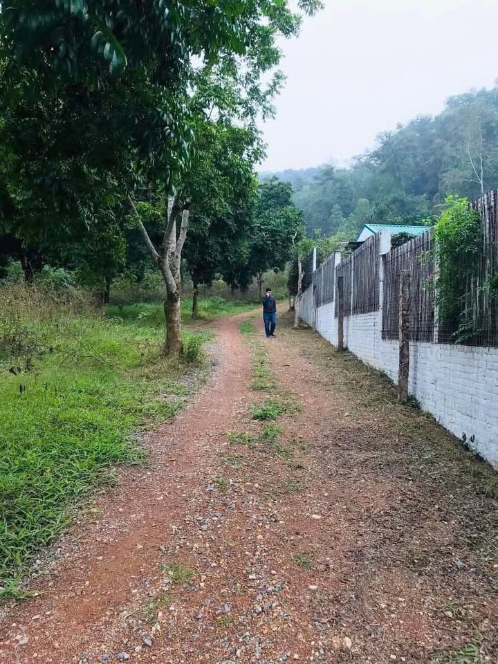 Đất nền 46,000m² xã Minh Trí, Sóc Sơn - Cơ hội đầu tư tuyệt vời!