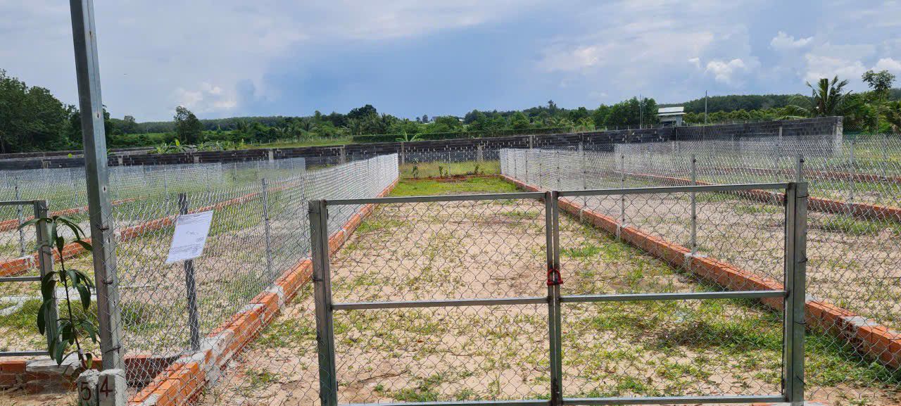 Đất nền Hảo Đước - Châu Thành Tây Ninh 150m² giá chỉ 190 triệu - Đầu tư sinh lời ngay!