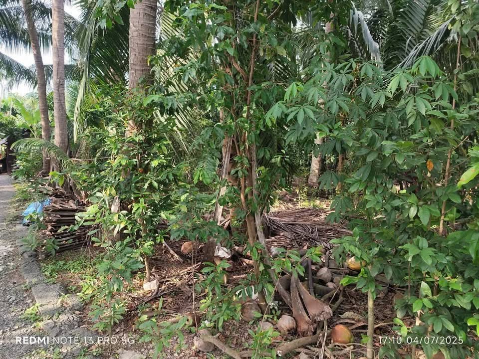 Đất mặt tiền Quốc lộ 60, Tân Thành Bình 875m² giá 2.7 tỷ - Đầu tư sinh lời ngay!