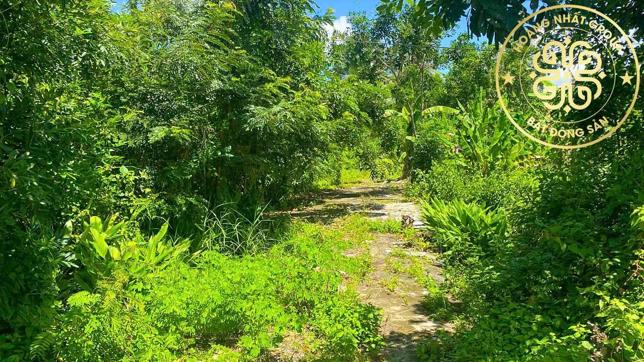 Đất vườn Lý Văn Lâm 188m² giá 350 triệu - View thoáng mát, xây dựng ngay!