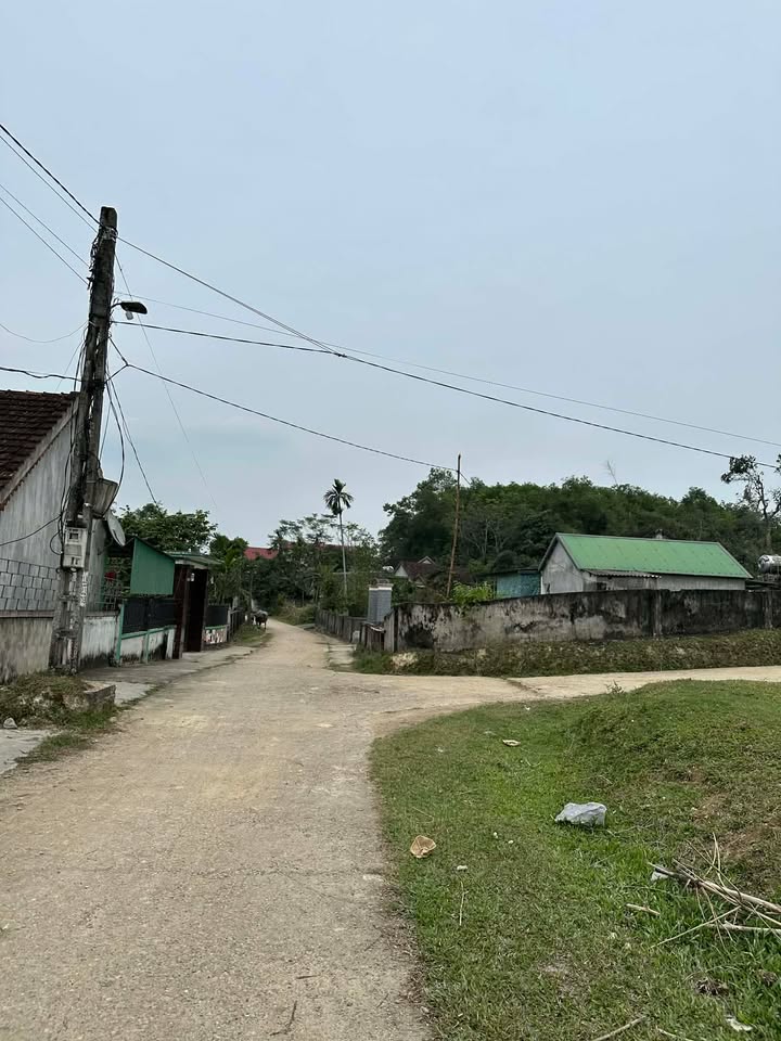 Đất nền Hoa Sơn, Anh Sơn, 216m² - Đầu tư sinh lời tiềm năng!