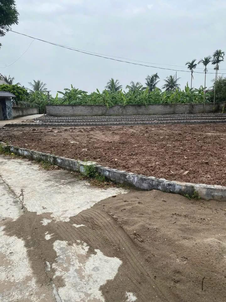 Đất nền Tất Thượng, Lạc Phượng 137m² giá 600 triệu - Giao thông thuận tiện, ô tô vào tận nơi!