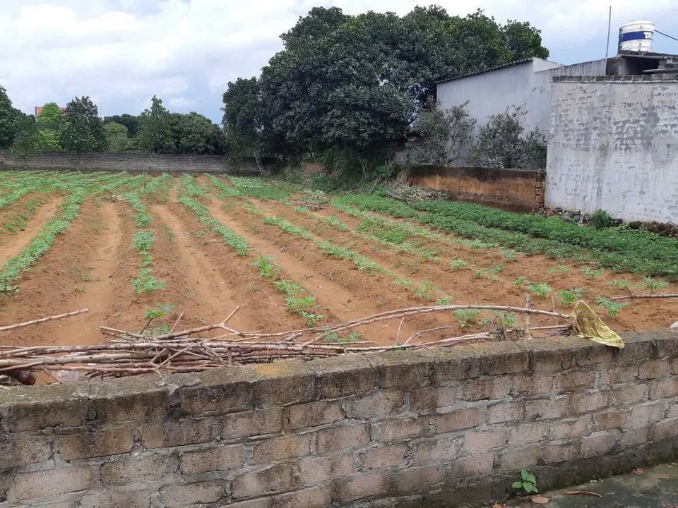 Đất nền Chí Linh, Hải Dương 404m² - Mặt tiền rộng 10m, giá tốt!