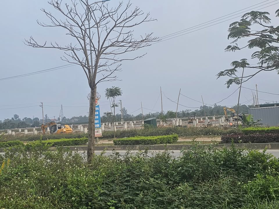 Đất nền Hoằng Đạo 126m² giá 1.1 tỷ - Đầu tư sinh lời ngay!