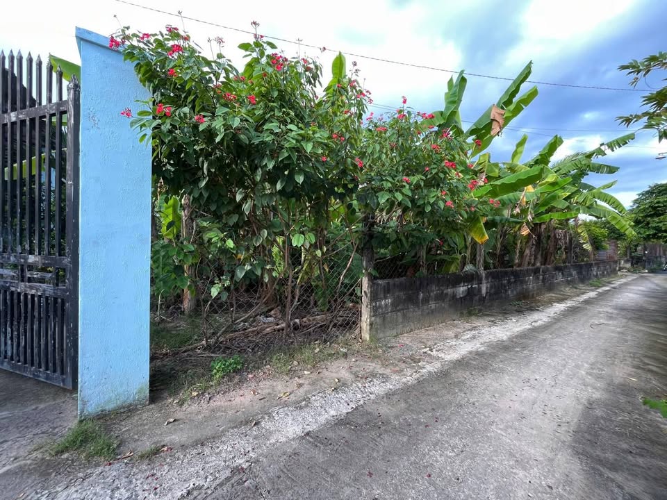 Đất vườn 795m² tại Ấp 4, Xã Thạnh Phú, Vĩnh Cửu - Giá chỉ 3.3 tỷ