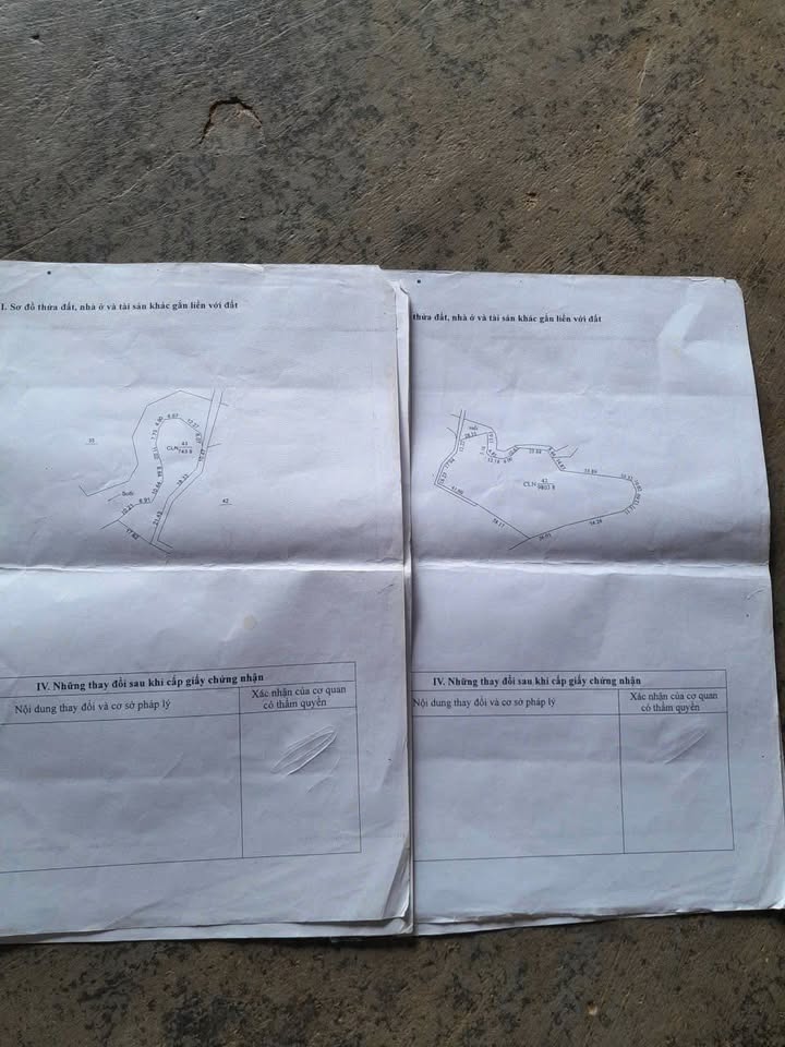 Đất rẫy 1,2ha tại thôn 7, Ea Khal giá chỉ 1,5 tỷ - Đầu tư sinh lời ngay!