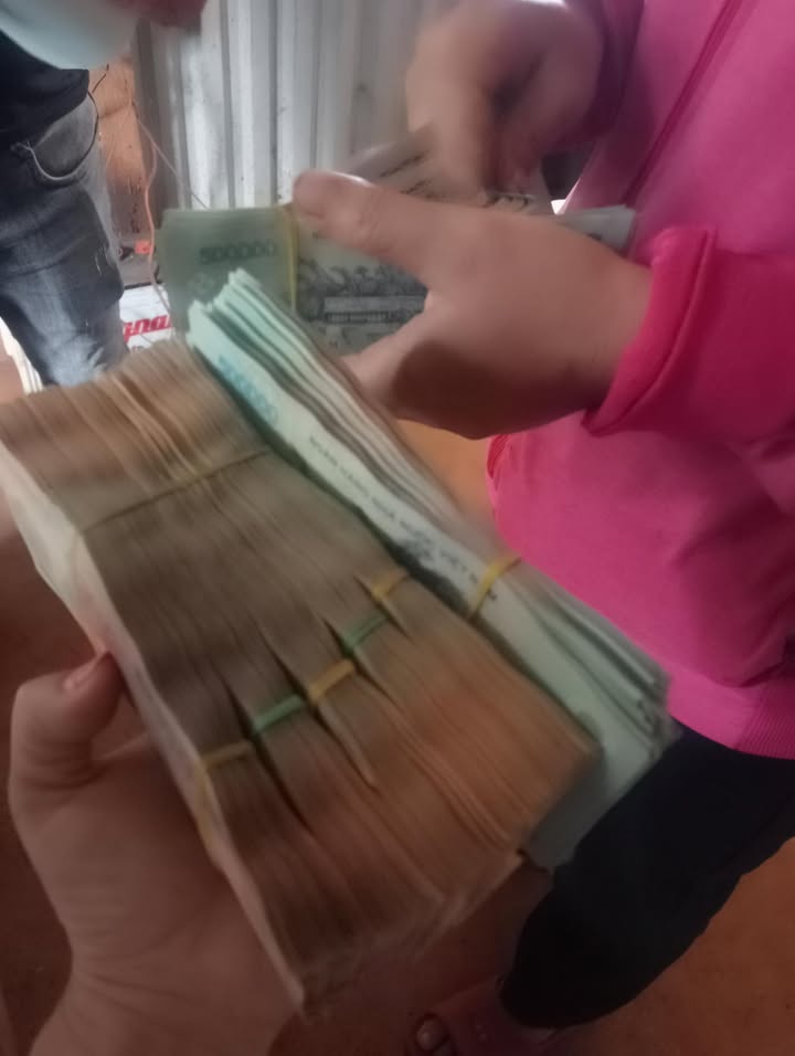 Đất nền 650m² xã Quảng Tân, giá 180 triệu - Đầu tư sinh lời cao!