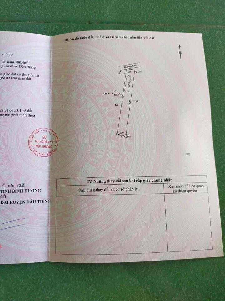 Đất nền Định An 780m² giá 800 triệu - Cơ hội đầu tư tuyệt vời!