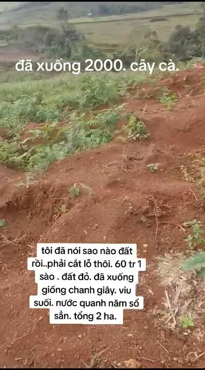 Đất nông nghiệp Đắk Roong, Kbang 2ha giá 1.2 tỷ - Đầu tư sinh lời cao!