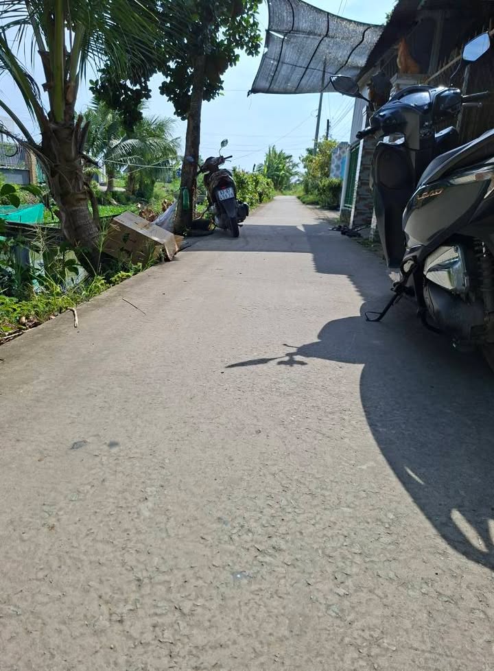 Nhà cấp 4 Kiểng Phước, Gò Công Đông 313.5m² giá 750 triệu - Bán gấp!