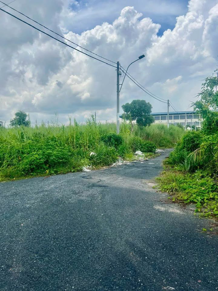 Đất nền KDC Nam Tầm Bót - Mỹ Phước, Long Xuyên 82.3m² giá 1 tỷ - Sổ đỏ riêng chính chủ!