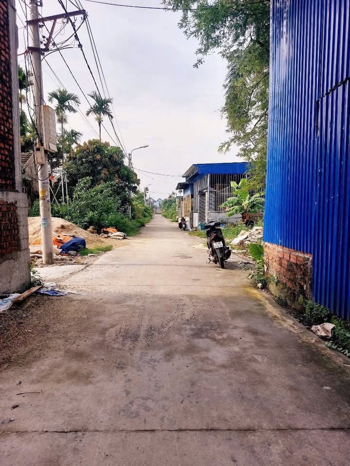 Đất nền Bạch Đằng, Thủy Nguyên 98.8m² giá chỉ 1.2 tỷ - Cơ hội đầu tư tuyệt vời!