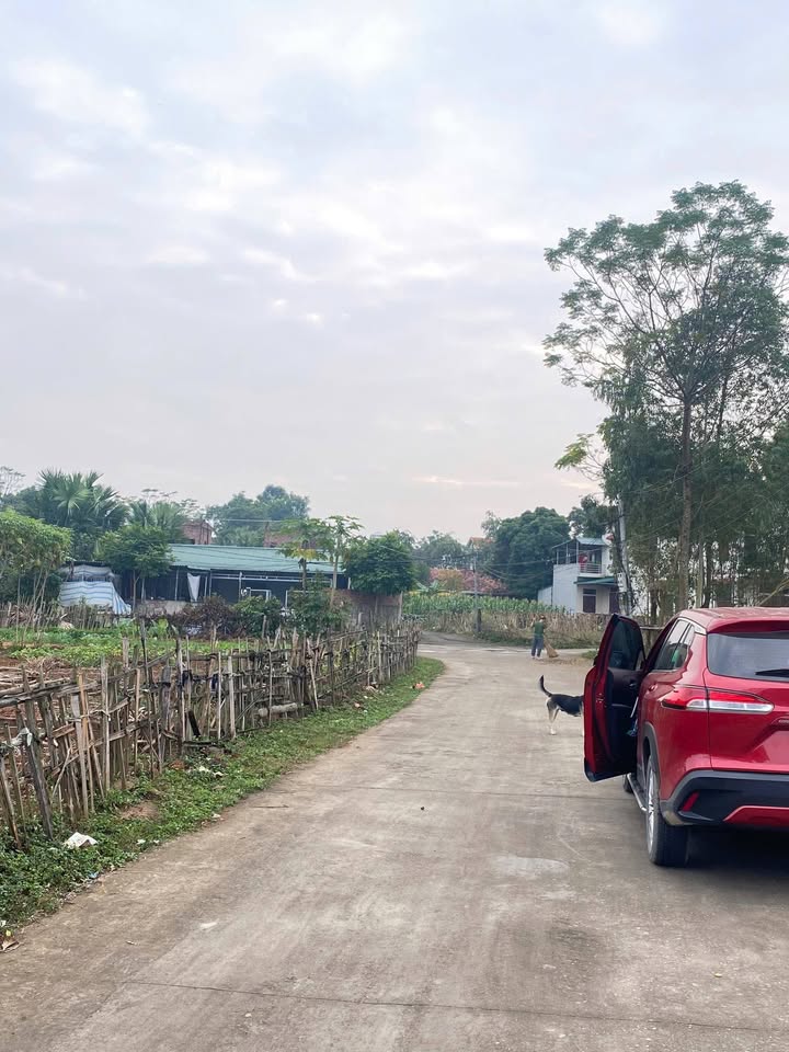 Đất thổ cư Thanh Đình - Việt Trì 105m² giá 1.6 tỷ - Đầu tư sinh lời hấp dẫn!