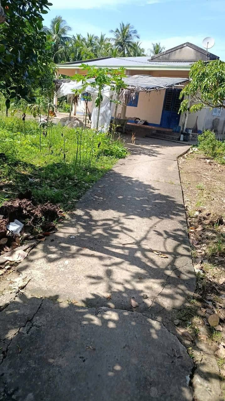 Đất vườn 13 công tại Vang Quới Đông, giá 4,2 tỷ - Đầu tư sinh lời tốt!