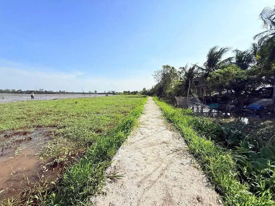 Đất nền liền kề Phường Đông Thành 300m² giá 420 triệu - Cơ hội đầu tư sinh lời!