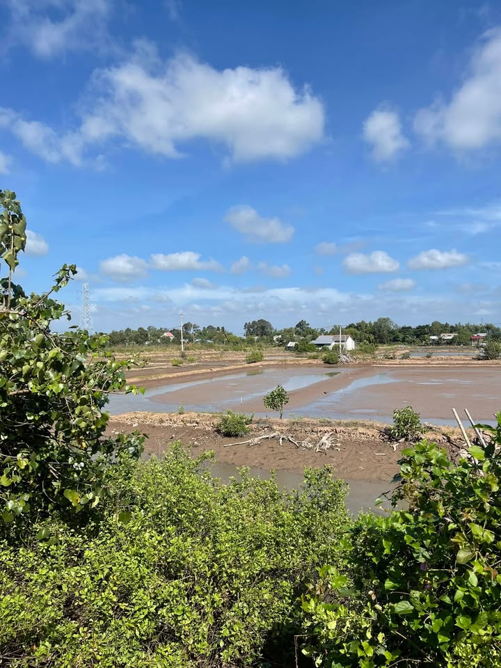 Đất nuôi tôm 2.700m² tại xã Ngũ Lạc, Duyên Hải - Giá 459 triệu, mặt tiền đường nhựa!