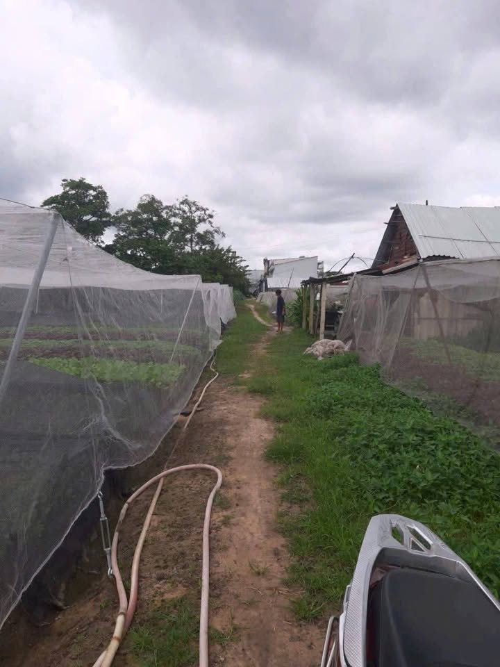 Đất nền Tân Hiệp Hóc Môn 358m² giá 1.8 tỷ - Sổ đỏ chính chủ, bớt lộc!