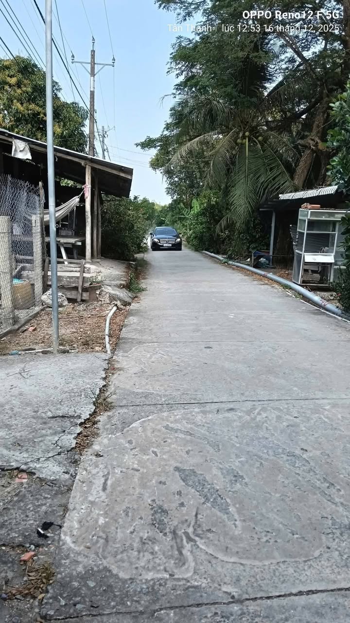 Đất nền Nhơn Ninh, Tân Thạnh, 510m² giá 650 triệu - Đầu tư sinh lời ngay!