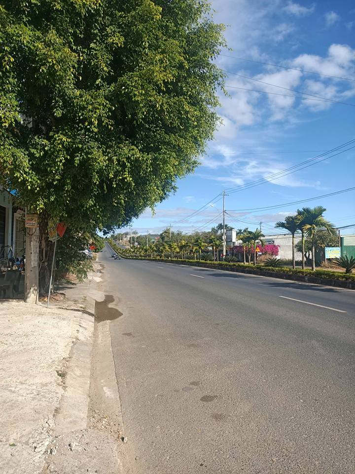 Đất thổ cư chính chủ tại đường Phan Đình Phùng, 624m² - Cơ hội đầu tư vàng!