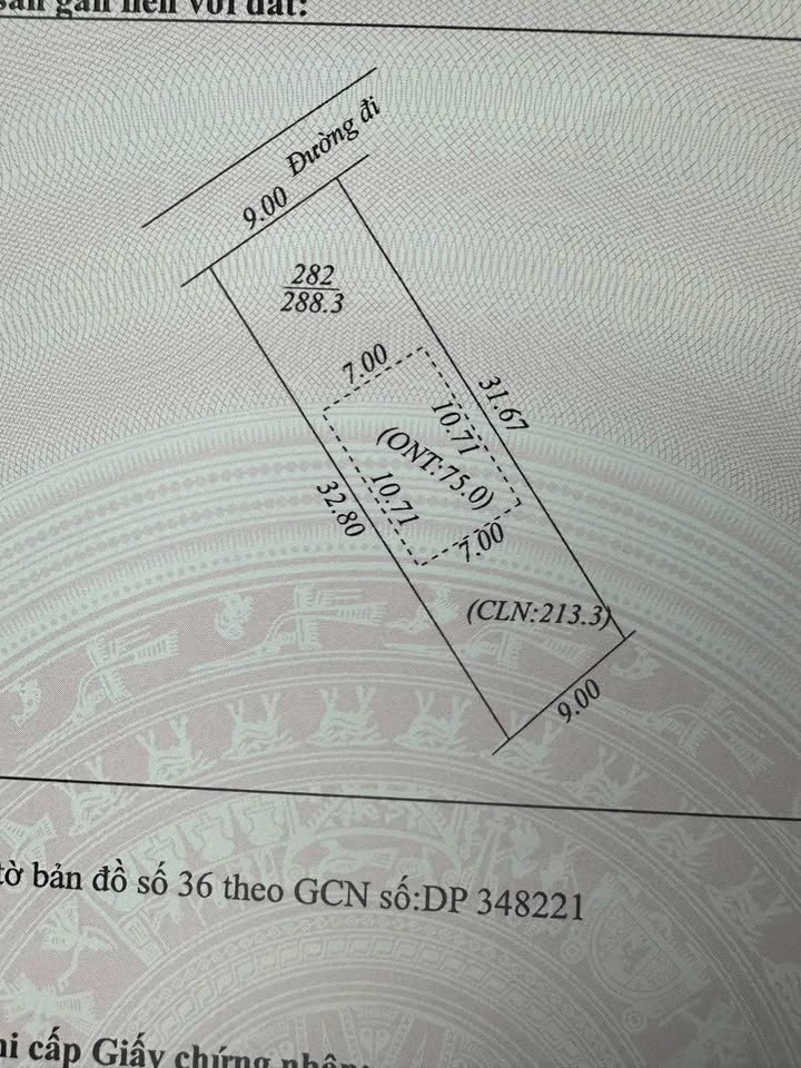 Đất nền Hoàng Thanh Hiệp Hòa 300m² giá 700 triệu - Đầu tư tiềm năng ngay hôm nay!