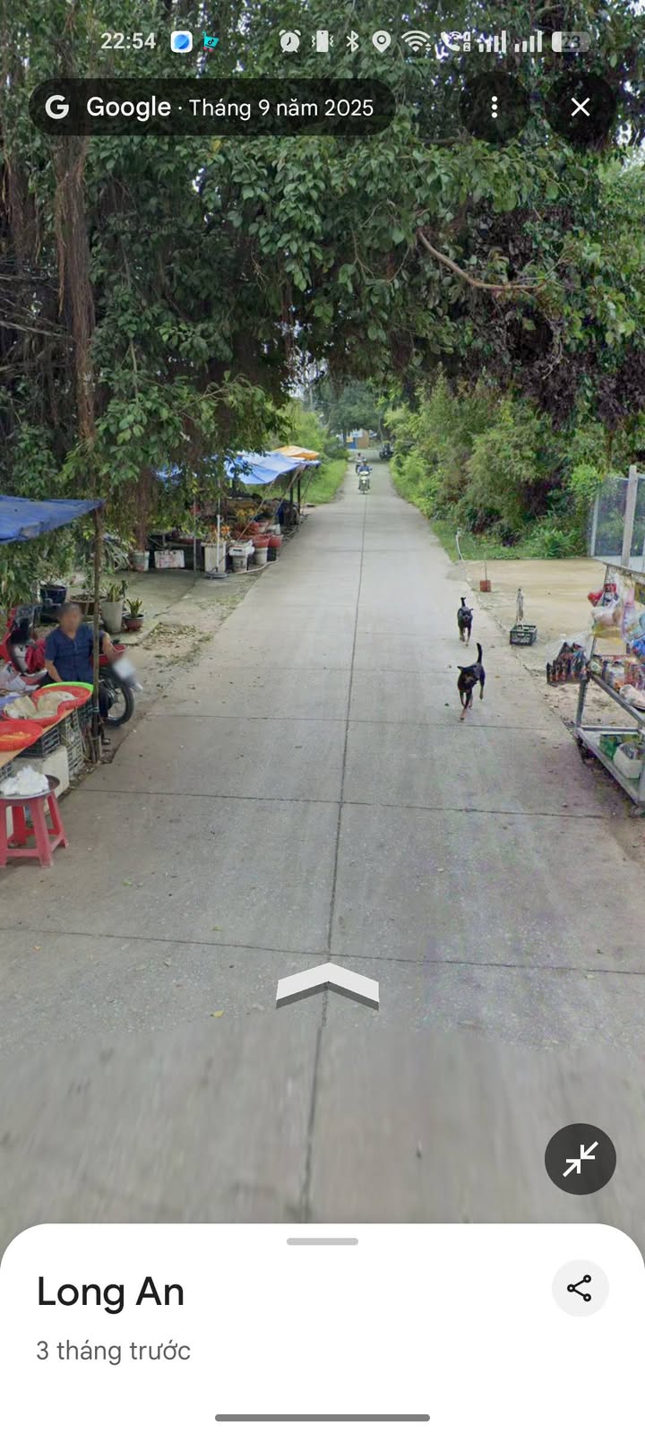 Đất thổ cư Hiệp Hòa, Đức Hòa, Long An 96m² giá 760 triệu - Sổ đỏ chính chủ!