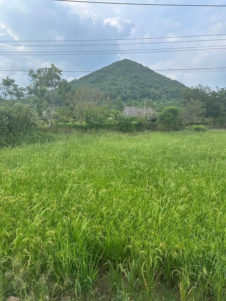 Đất nền lô góc 2 mặt tiền đường Nguyễn Minh Châu, 912m² giá 999 triệu - Cơ hội đầu tư tuyệt vời!