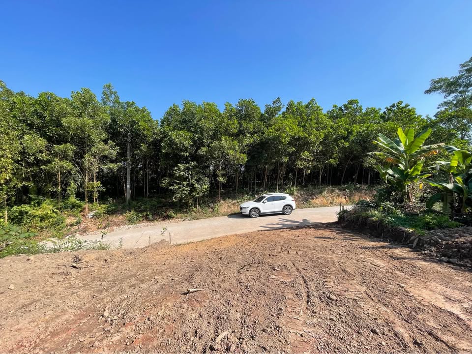 Đất thổ cư Phúc Trìu 412m² giá 2.1 tỷ - Đối diện nhà thờ Bắc Sơn!