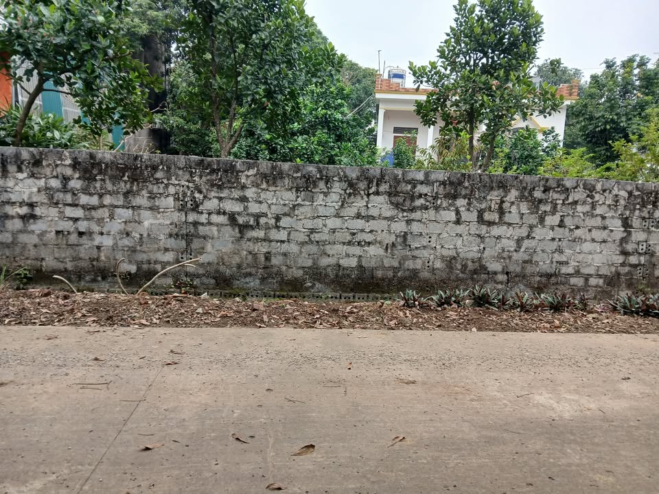 Đất nền thôn 4a Đông Sơn, Tam Điệp 110m² - Giá hợp lý, chờ bạn sở hữu!